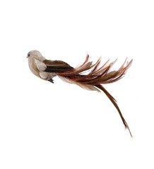 Fugl "Nomia" Dekorationsfugl med fjer 30 cm by PH