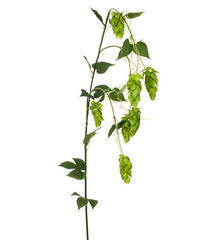 Kunstig Humle Naturtro dekorationsgren by Mr. Plant