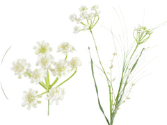 Blomstergren 68 cm Hvid (Kunstig) by Deko Florale