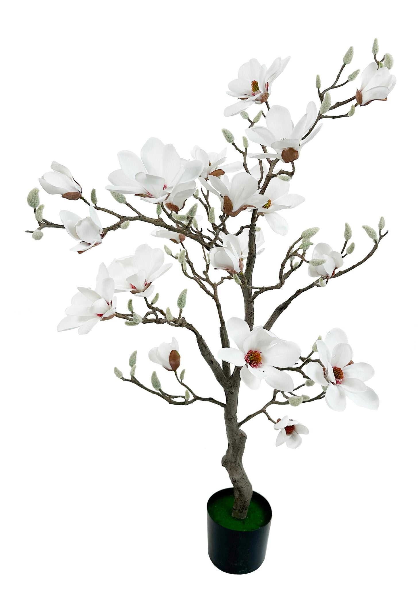 Magnolia Træ i Potte Hvid, 120 cm by ShiShi
