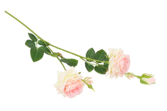 Rosengren Kunstig rose med naturtro udtryk 65 cm