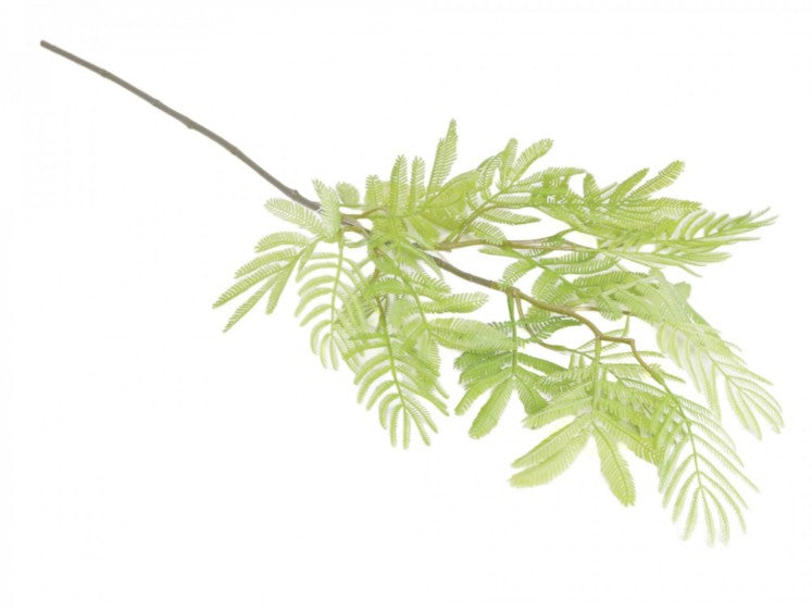 Mimosa-gren kunstig grøn stilk by Geilu Sala