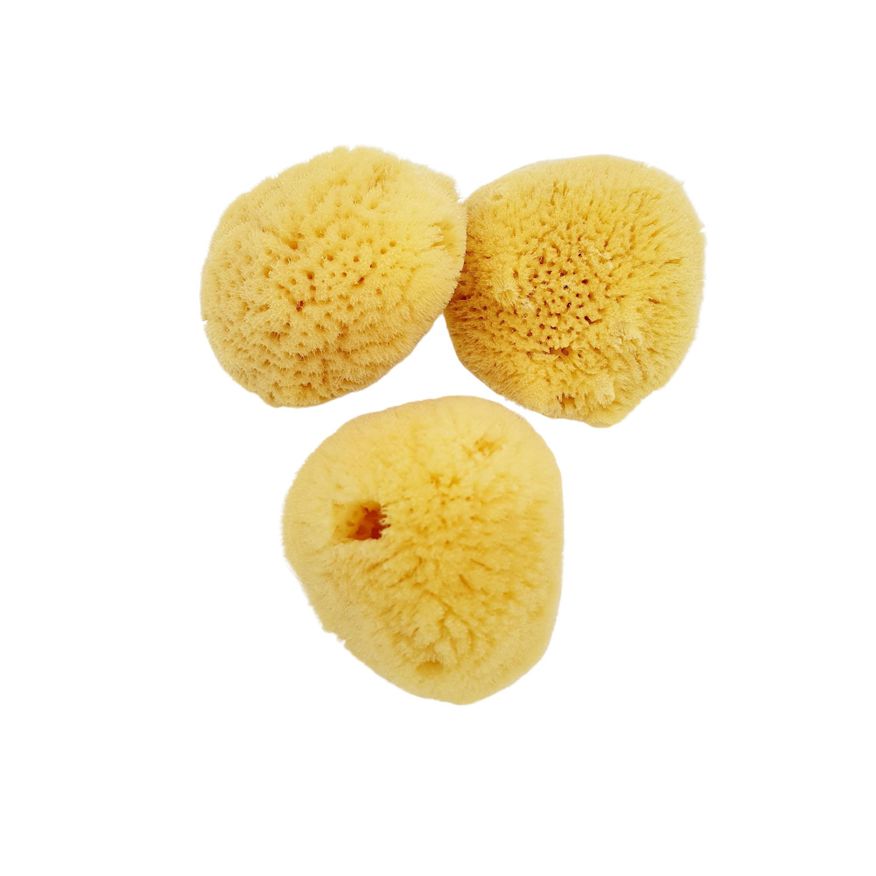 Ansigtssvamp 5–6 cm by Sufraco