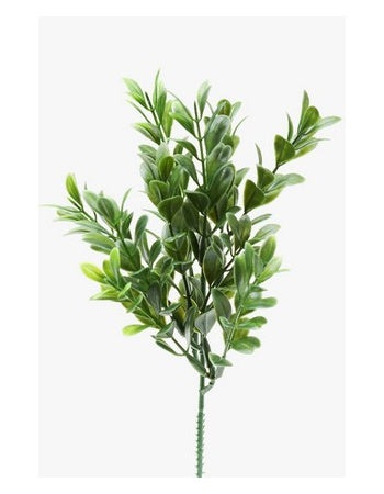 Buksbom kvist 25 cm by PH