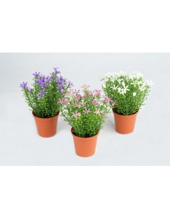 Miniblomster i potte 13 cm by PH