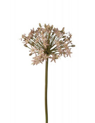Allium kunstig blomst 50 cm lilla by PH