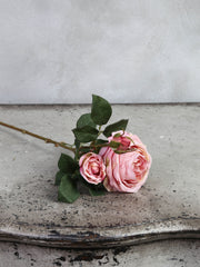 Rose "Cambridge" long-stemmed, 64 cm 123