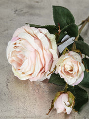 Rose "Cambridge" long-stemmed, 64 cm 1 /