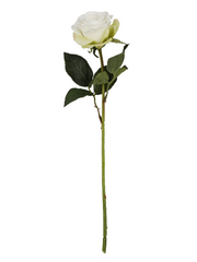 Rose x 1, Short-stemmed, 38cm,