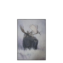 Picture w. moose & black frame H77/L53/W2 cm nature