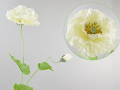 Poppy branch x2 80cm cream