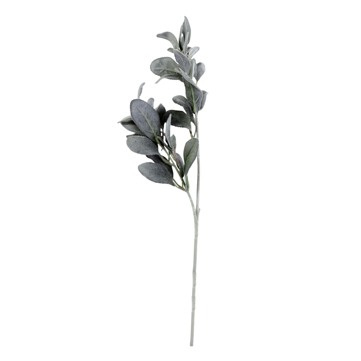 Fleur Branch lamb's ear H52 cm