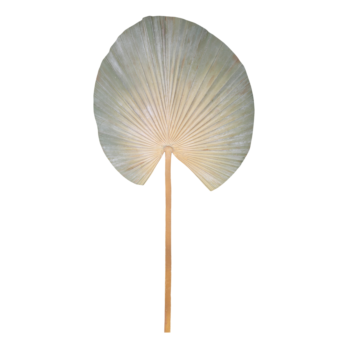 Fleur Palm Leaf H74.5/W30.5 cm dusty green