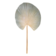 Fleur Palm Leaf H74.5/W30.5 cm dusty green