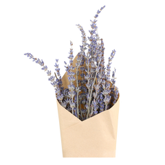 Fleur dried Lavender H60 cm lavender