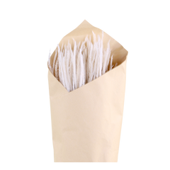 Fleur dried Pampas Grass H72 cm cream