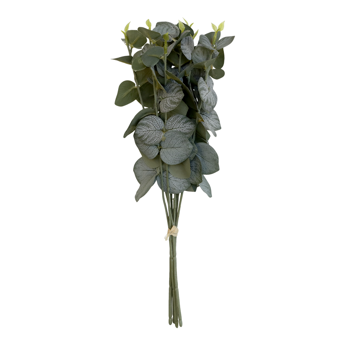 Fleur Eucalyptus bouquet H35 cm green