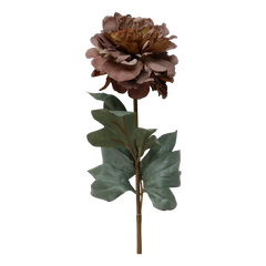 Fleur Peony H77 cm mocca