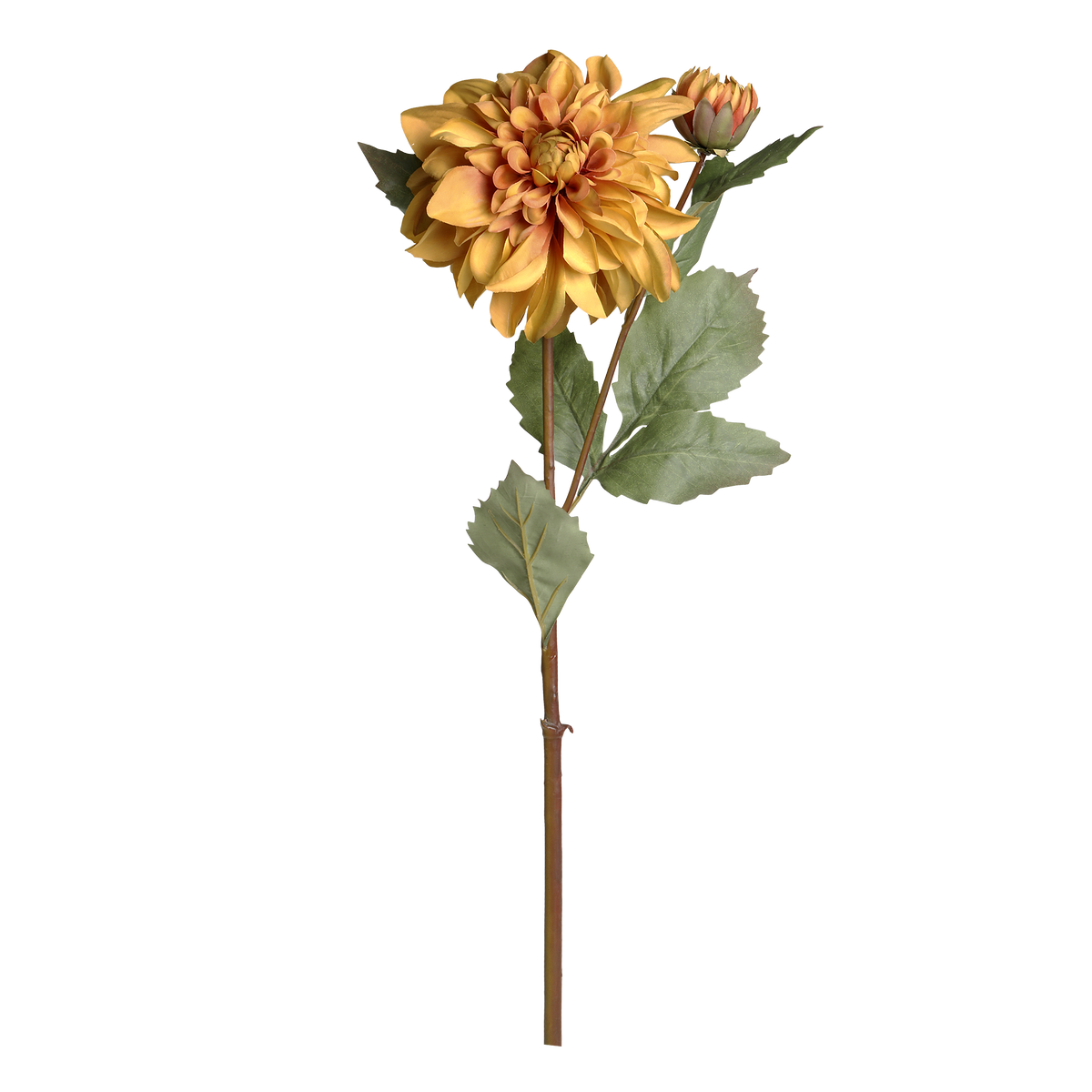 Fleur Dahlia H80 cm amber