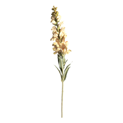 Fleur Snapdragon H92 cm cream