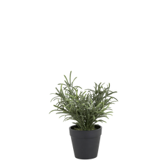 Fleur Plant H25/D9 cm green