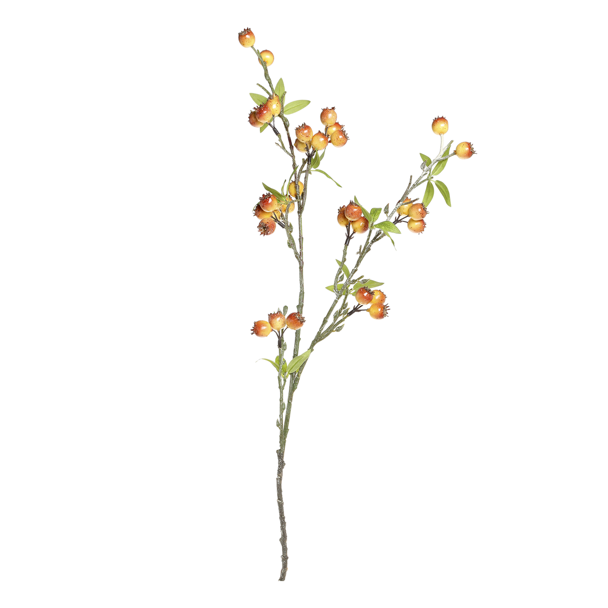 Fleur Branch w. sea buckthorn H84 cm terracotta