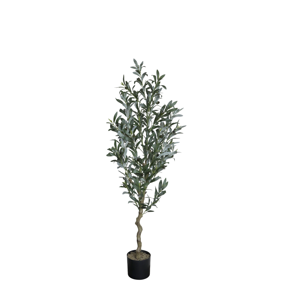 Fleur Olive Tree H132/D15 cm green