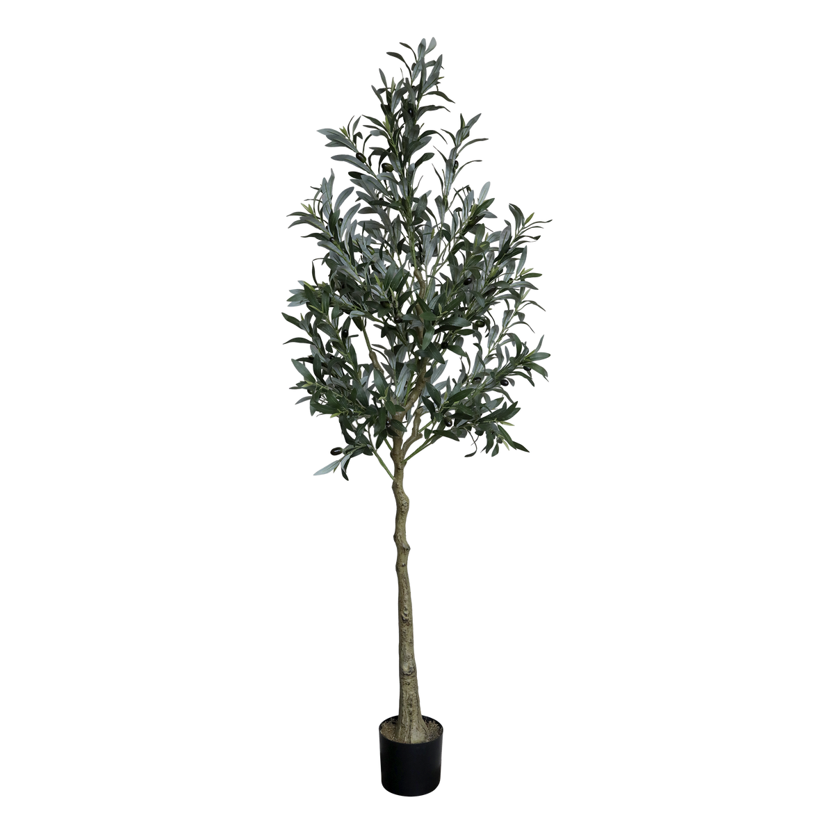 Fleur Olive Tree H170/D15 cm green