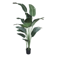 Fleur Strelitzia Plant H200/D19 cm green