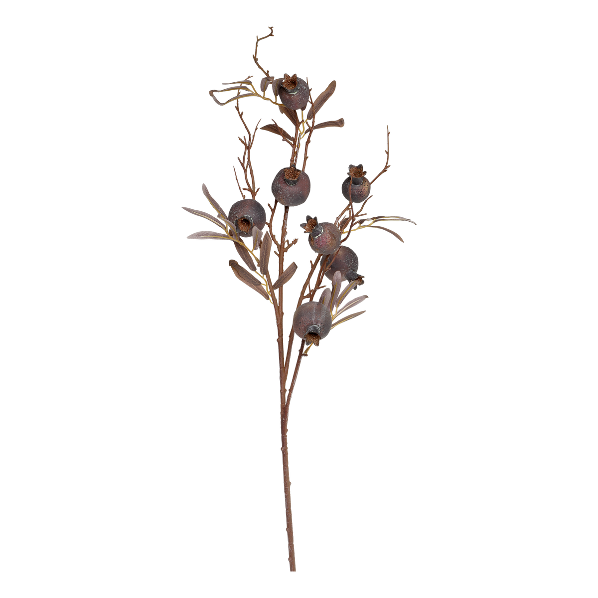 Fleur Branch w. seed pods H94 cm nature