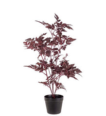 Silverax 75 cm