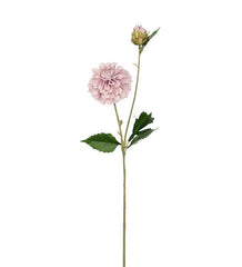 Dahlia stilk med knop, H66 cm