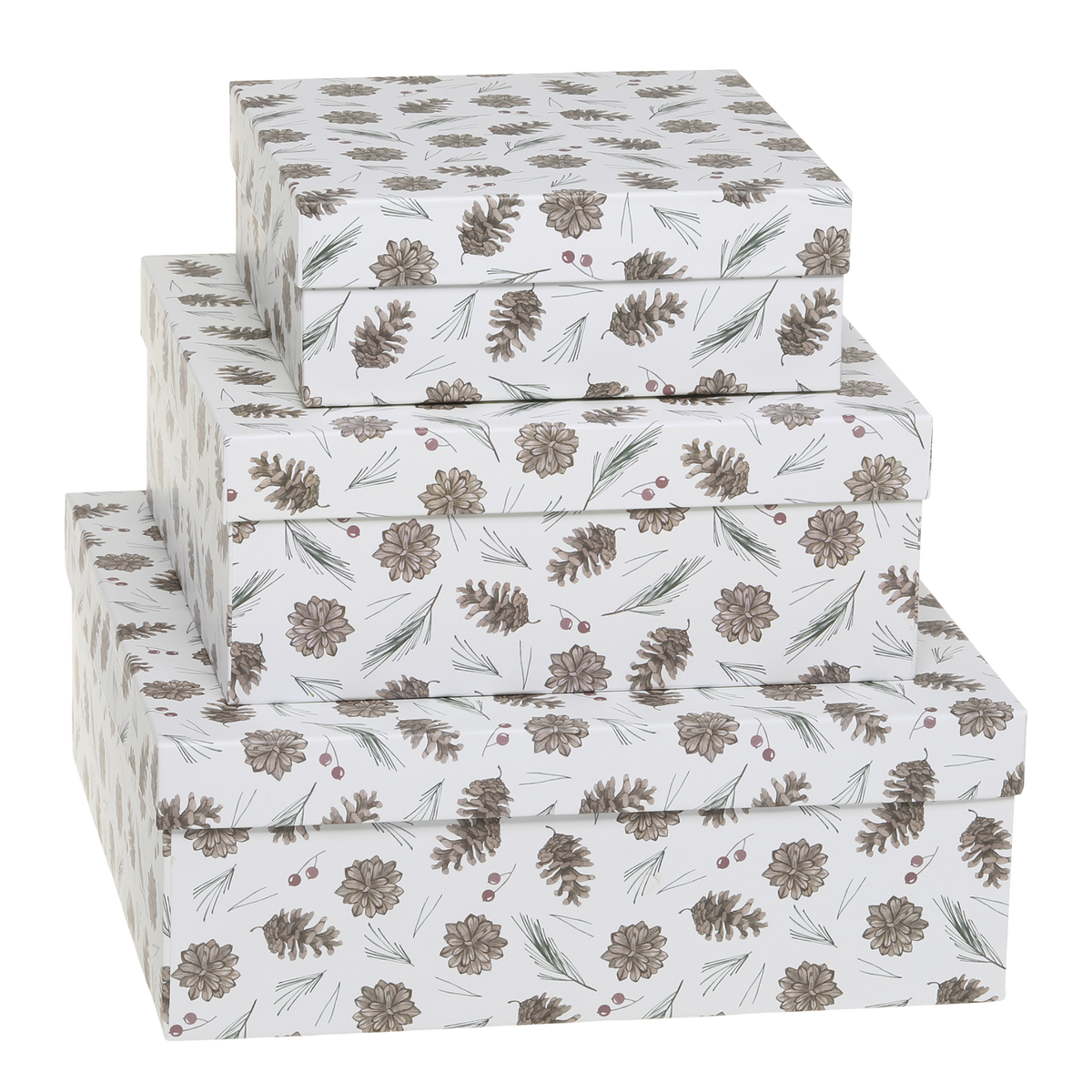 Box w. pine cones set of 3 H9/L25/W25 cm white