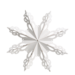 Wall Décor snowflake D53/W6 cm antique white