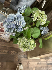 Hortensia i potte – blå by Krone 1