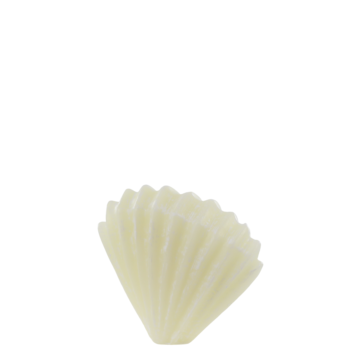 Vienne Pillar Candle shell H11/L14/W5 cm off white