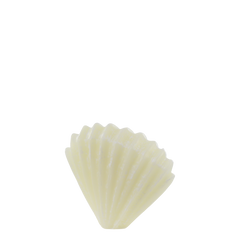 Vienne Pillar Candle shell H11/L14/W5 cm off white