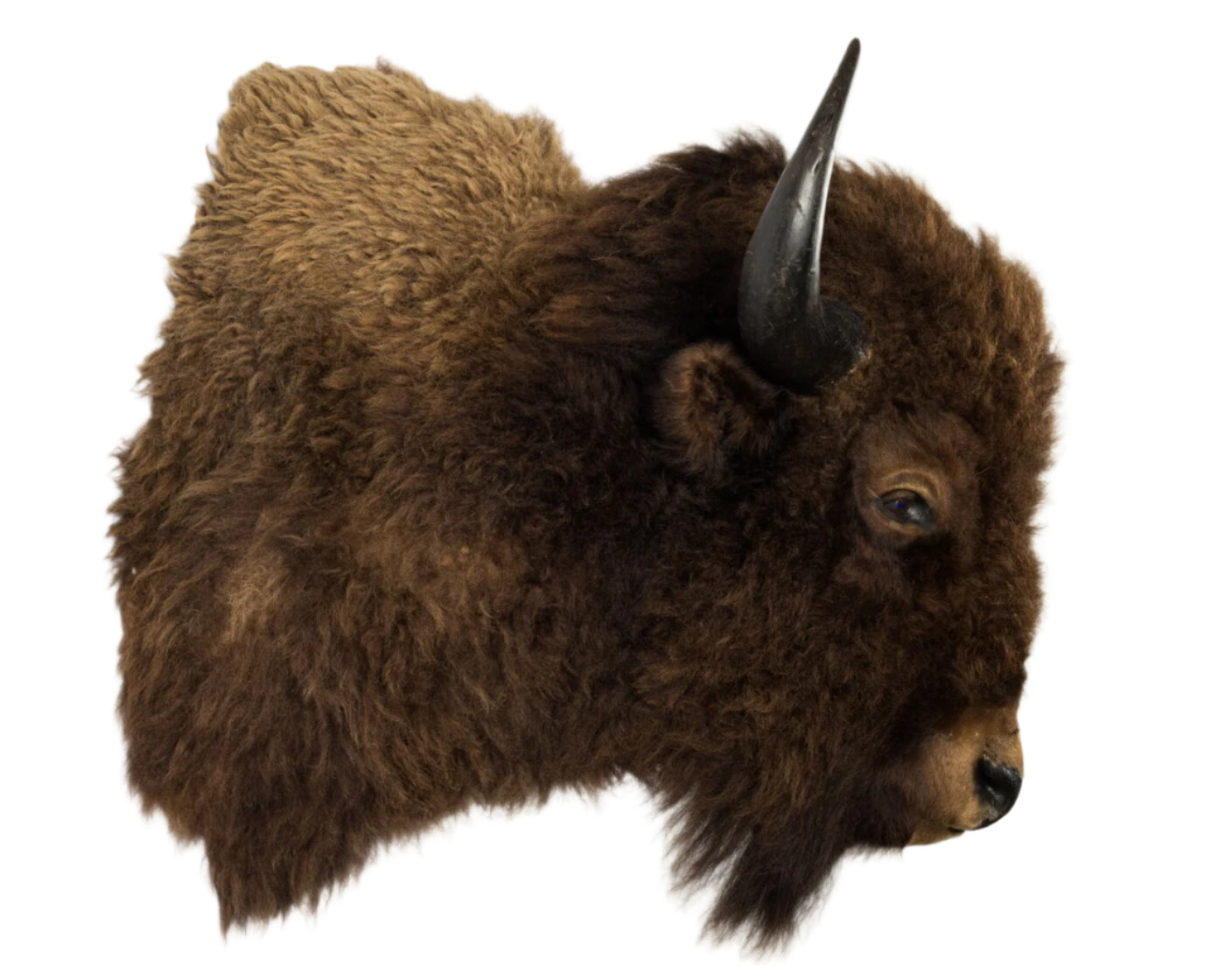Bison beef stuffed