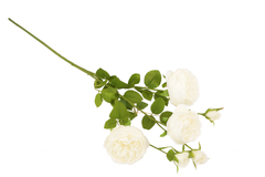 Kunstig Rosengren Hvid 65 cm
