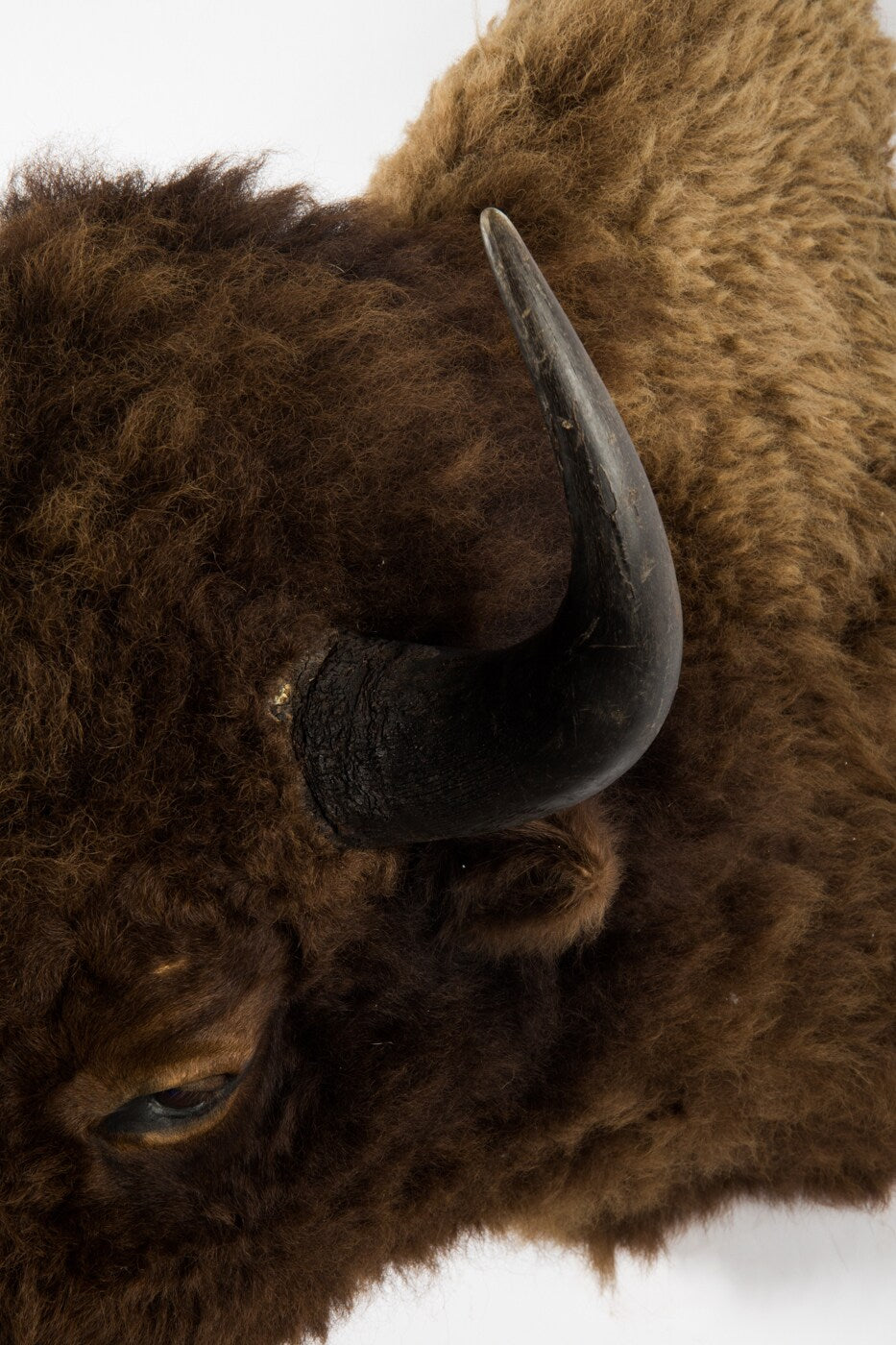Bison beef stuffed