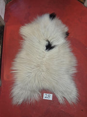 Islandsk Meleret 28