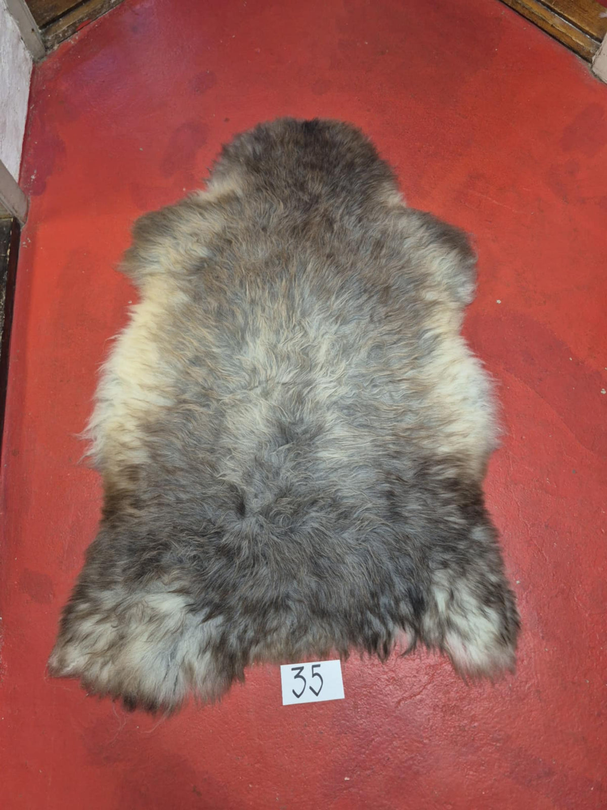 Svensk Meleret 35