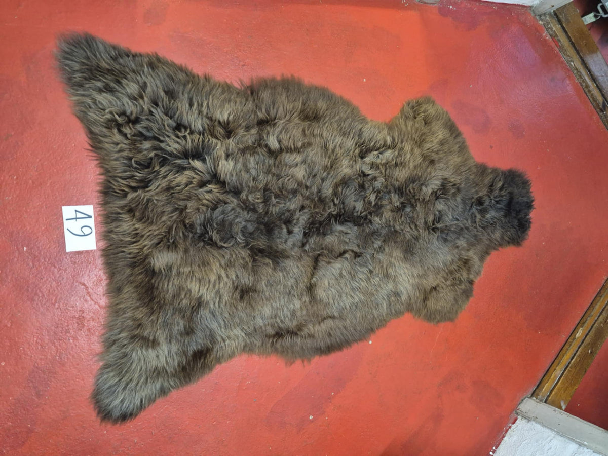 Xl Svensk Brun 49