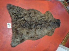 Xl Svensk Brun 49