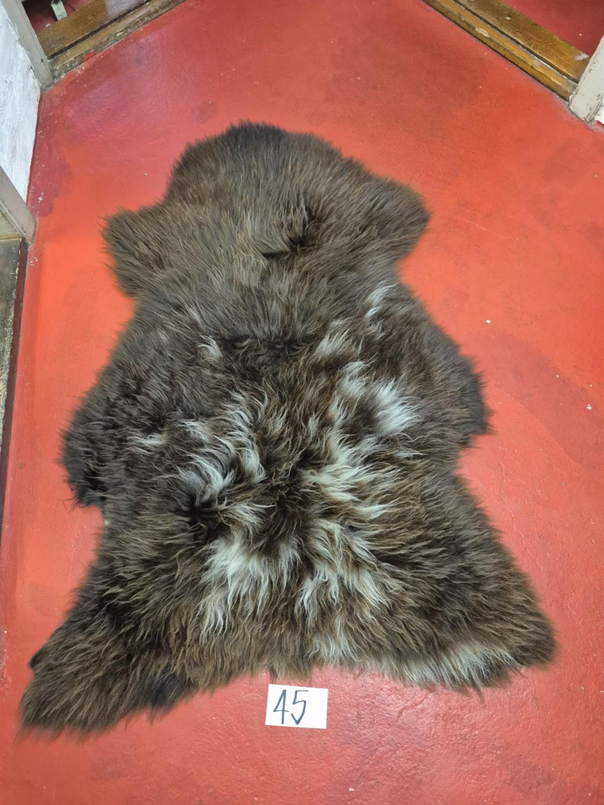 Xl Svensk Brun 45