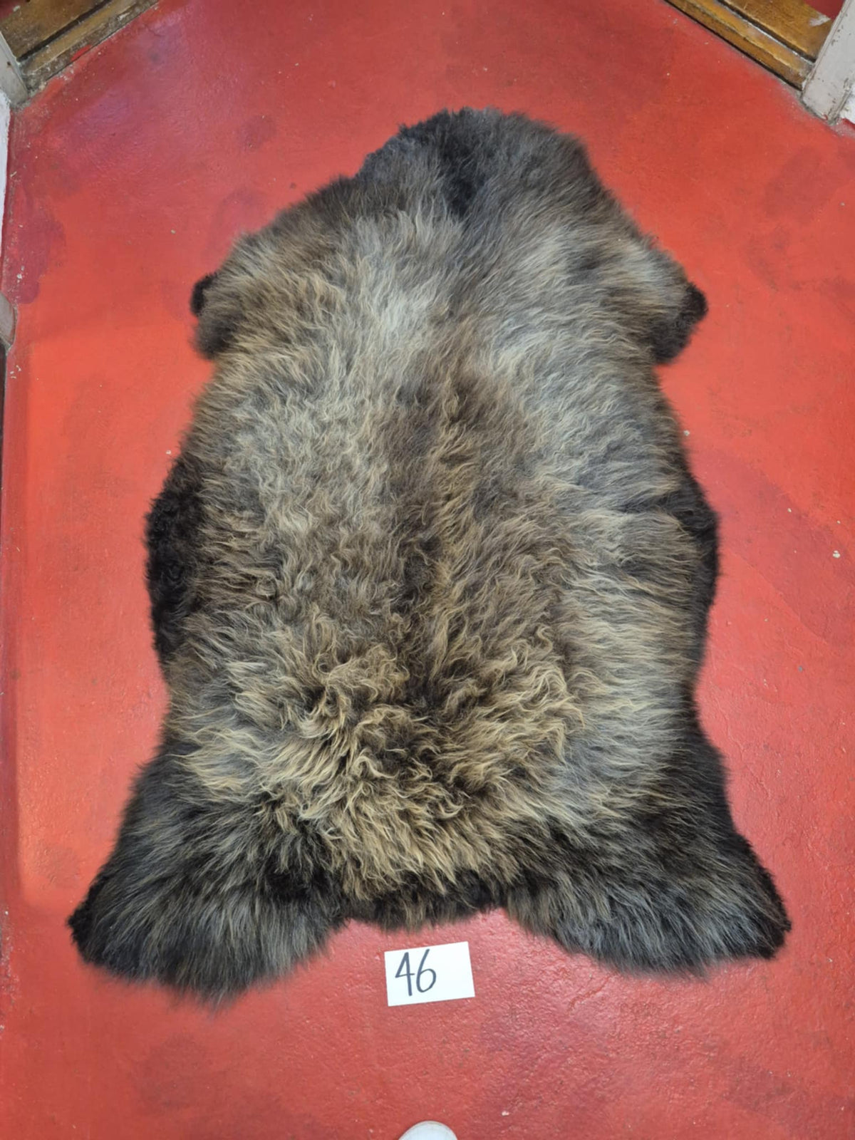 Xl Svensk Brun 46
