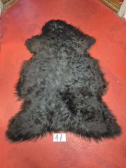 Xl Svensk Brun 47