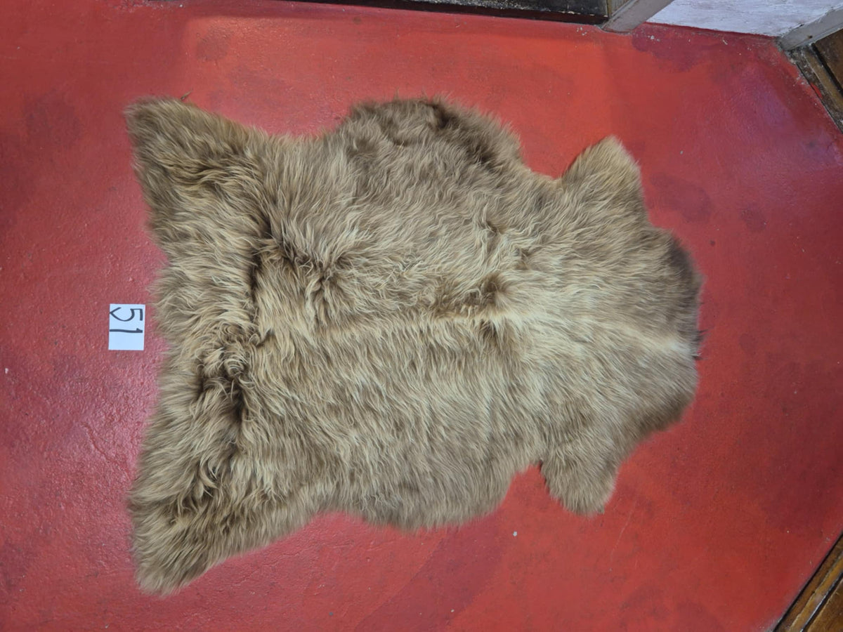 Xl Svensk Brun 51