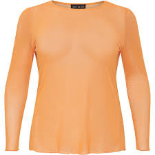 No 1. by Ox Mesh blouse orange