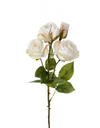 Rose 47 cm. white